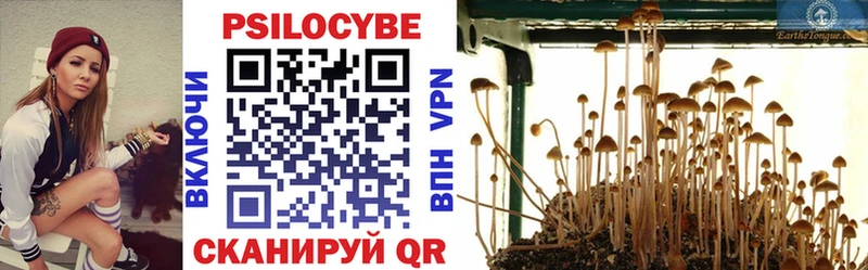 darknet состав  Старая Русса  Галлюциногенные грибы мицелий  купить наркотики цена 